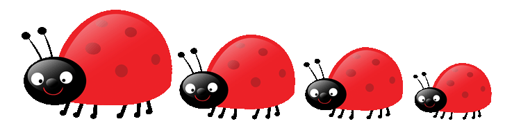 Ladybugs